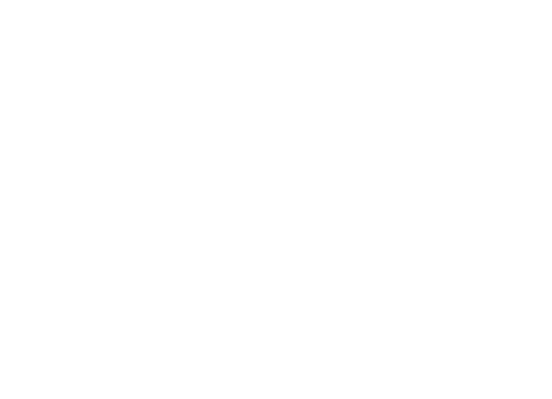 Logo Downloads: Pictogramm mit dem Schriftzug Downloads